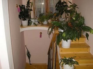 P7040358